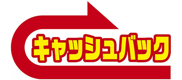 カーナビキャッシュバックイメージ